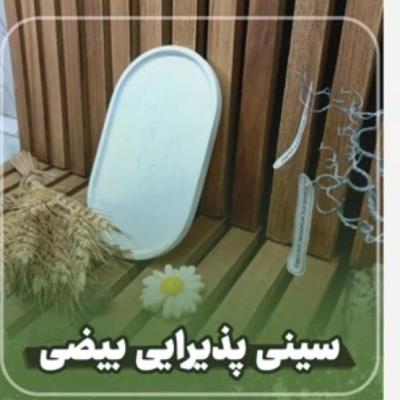 سینی بیضی سایز کوچک