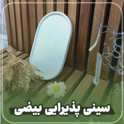 سینی پذیرایی بیضی سایز متوسط