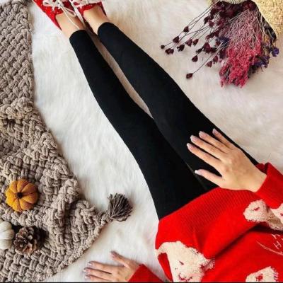 ساپورت داخل خز وارداتیPR