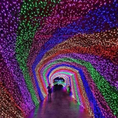 ریسه سوزنی 50 متری مادگی خور