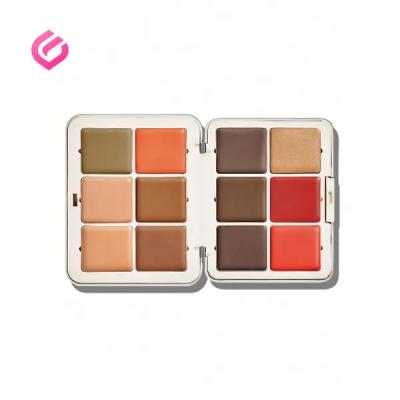 پالت چندکاره صورت شیگلم SHEGLAM All About That Face