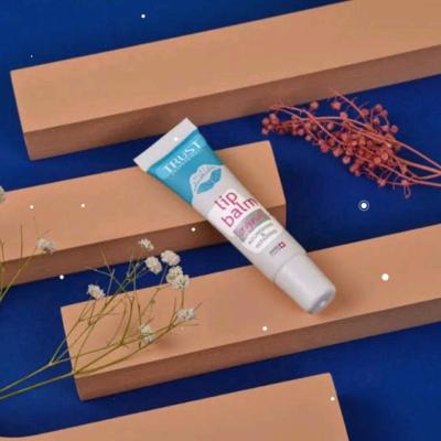 بالم لب با اس پی اف15