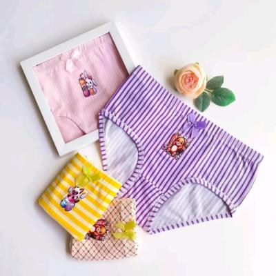 شورت های کتابی