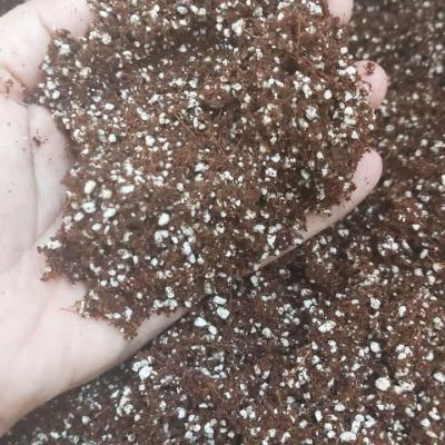 کوکوپیت پرلیت