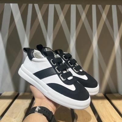 ونس مدل دنیا