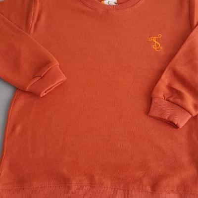 بلوزسلانیک