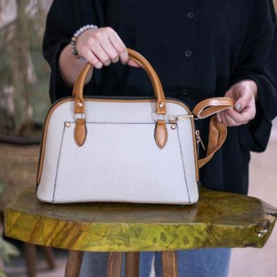 کیف مجلسی شیک در رنگبندی ارسال رایگان کیف روز مادر