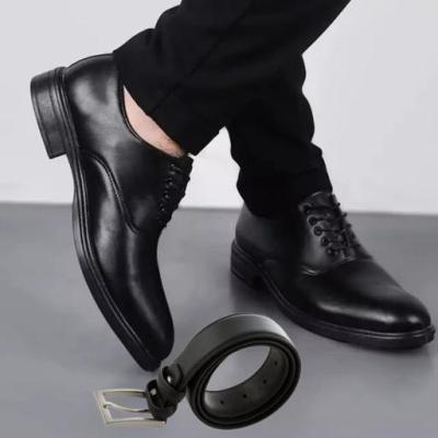 ست کفش و کمربند چرم مردانه شامل کفش رویال ساده بندی کمربند نیک
