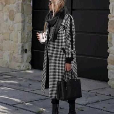 پالتو پیچازی