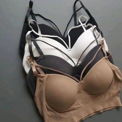 نیم تنه هارنسی اسفنج دار