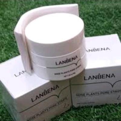 چسب بینی ضدجوش سرسیاه لانبنا