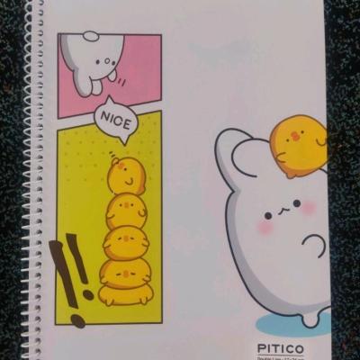 دفتر زبان پیتیکو