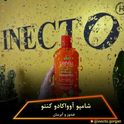 شامپو آووکادو کنتو مخصوص موهای فر و مجعد