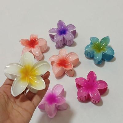 کلیپس موی گل پلومریا بسته دو عددی-154073