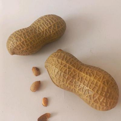 ظرف پذیرایی بادام زمینی پلی استر ضدخش