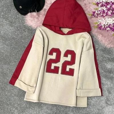 هودی اسپورت زیبا دخترونه کلاهدار لادن 97360