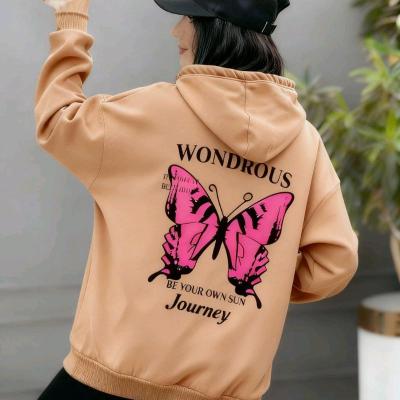 هودی تو کرکی .