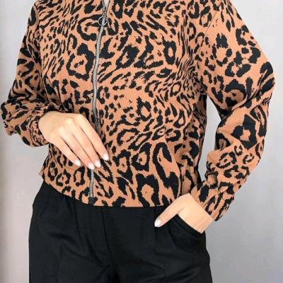 بامبر پلنگی کتان(موجودی سوال شود)