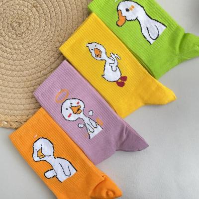 جوراب ساقدار اردک