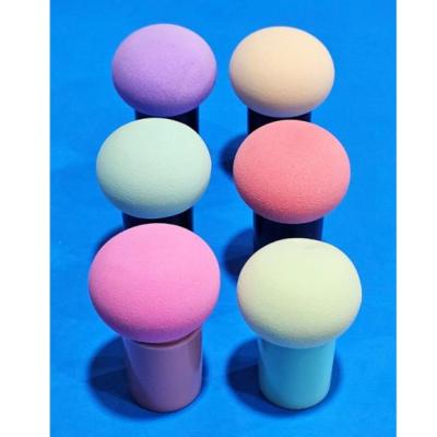 پدقارچی خارجی