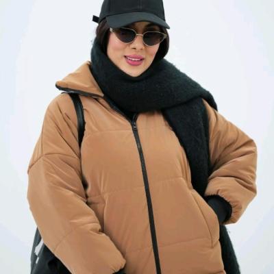 کاپشن ساردین