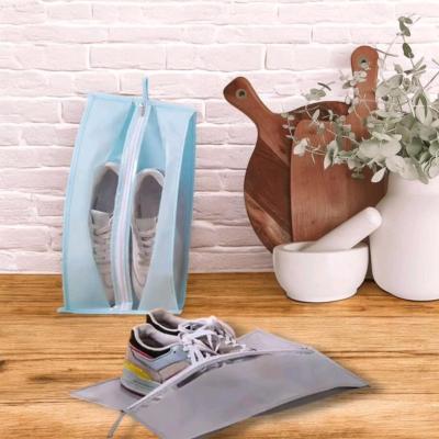 نظم دهنده کفش