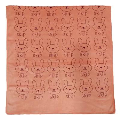 حوله استخری نانو خرگوشی (وارداتی)