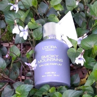 ادوپرفیوم مردانه مدل SMOKY MOUNTAINS لدورا فرگرنس