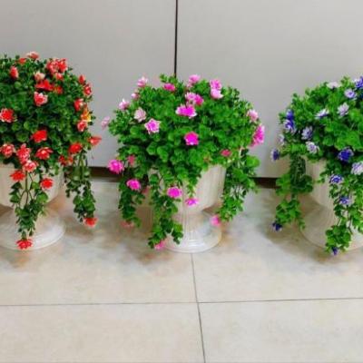 شمشاد کاپی آویز بزرگ