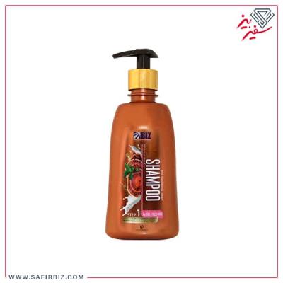 شامپو گانودرما مخصوص موهای خشک بیز