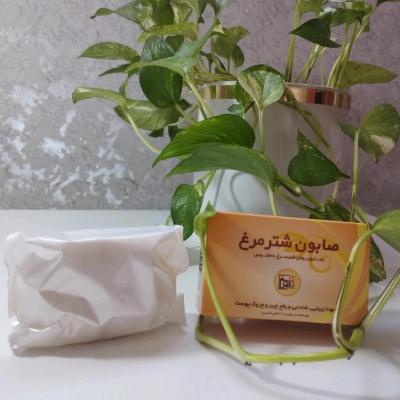 صابون شتر مرغ