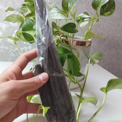 فلوس ( خرنوب هندی )