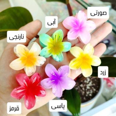 کلیپس گل پلومریا نارنجی