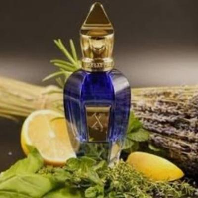 زرجف تورینو 24 زنانه و مردانه برند (لوزی)