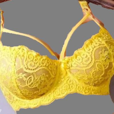 سوتین هارنس دو بنده