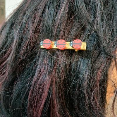 گیره موی کفشدوزک