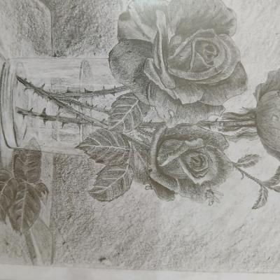 نقاشی سیاه قلم گل رز