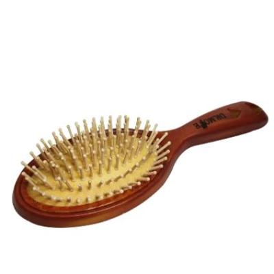 برس دکتر موم وکیومی