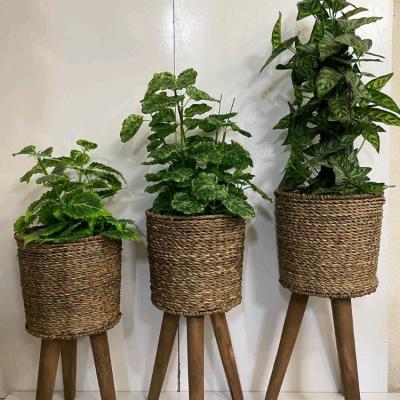 گلدان حصیری پایه دار(پس کرایه ارسال میشه)