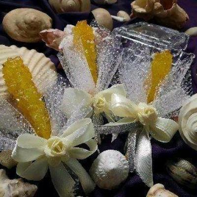 گیفت عقدکنان شاخه نبات