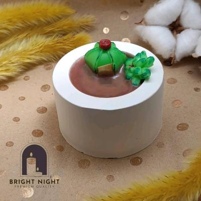 شمع طرح گلدان کاکتوس