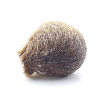 مشک ناف آهو آقای عطار