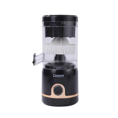 آب مرکبات گیری شارژی دسینی مدل 2233