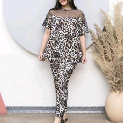 ست‌ پلنگی بالا توردار