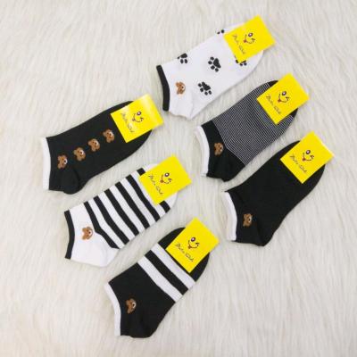 جوراب مچی تدی