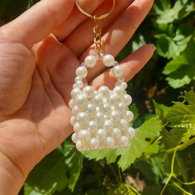 جاسوئیچی مینی بگ