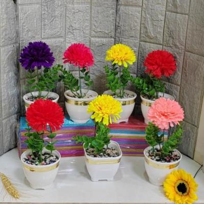 تک گل داودی