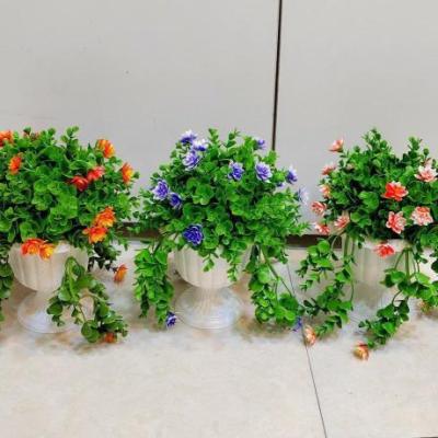 شمشاد کاپی آویز کوچک