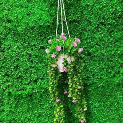 شمشاد اویز سایز بزرگ