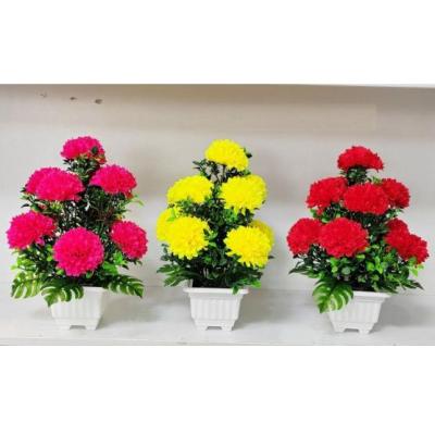 داودی  10 گل